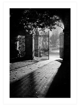 Gün Işığı - Art Print